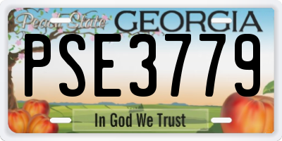 GA license plate PSE3779