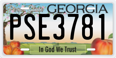 GA license plate PSE3781