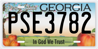 GA license plate PSE3782