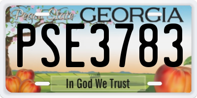 GA license plate PSE3783