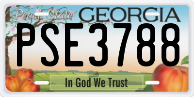GA license plate PSE3788