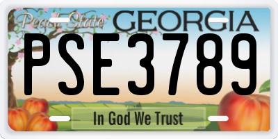 GA license plate PSE3789