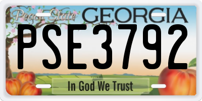 GA license plate PSE3792