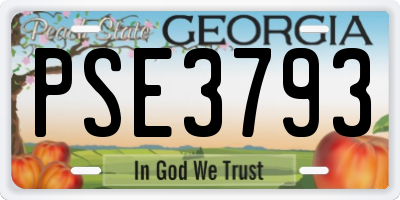 GA license plate PSE3793