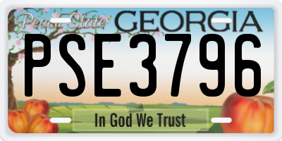 GA license plate PSE3796
