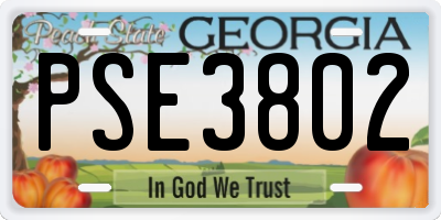 GA license plate PSE3802