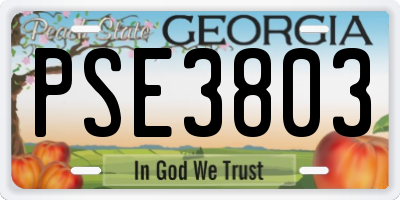 GA license plate PSE3803