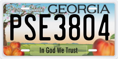 GA license plate PSE3804