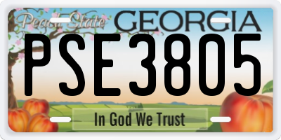 GA license plate PSE3805