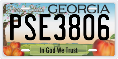 GA license plate PSE3806