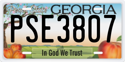 GA license plate PSE3807