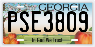 GA license plate PSE3809