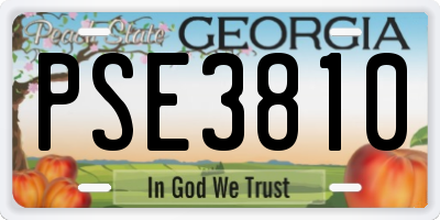 GA license plate PSE3810