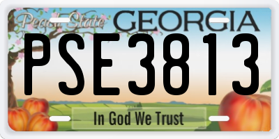 GA license plate PSE3813