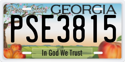 GA license plate PSE3815