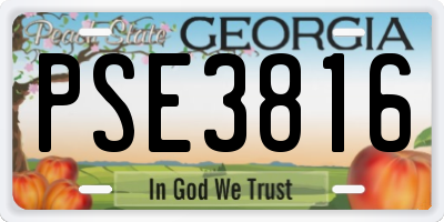 GA license plate PSE3816