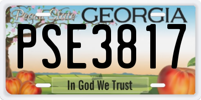 GA license plate PSE3817