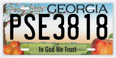 GA license plate PSE3818