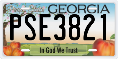 GA license plate PSE3821