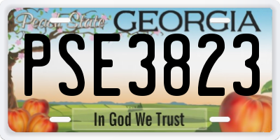 GA license plate PSE3823