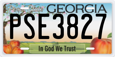 GA license plate PSE3827