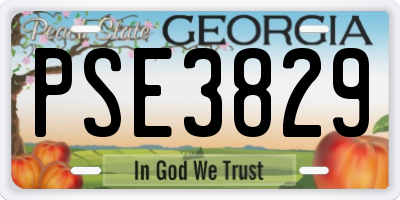 GA license plate PSE3829
