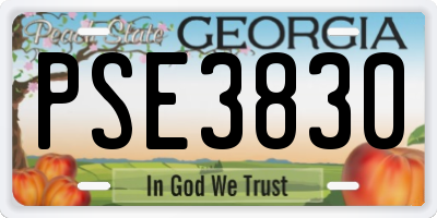 GA license plate PSE3830