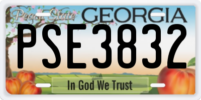 GA license plate PSE3832