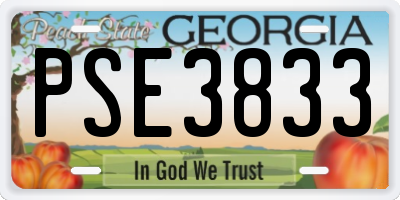 GA license plate PSE3833