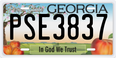 GA license plate PSE3837