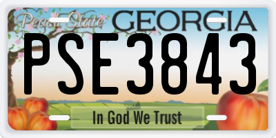 GA license plate PSE3843