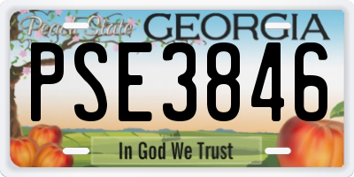 GA license plate PSE3846