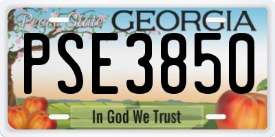 GA license plate PSE3850
