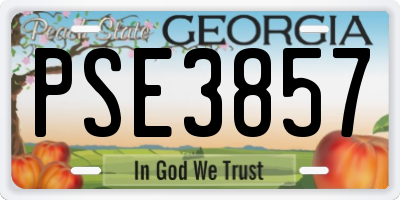 GA license plate PSE3857