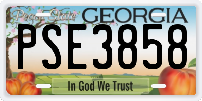 GA license plate PSE3858