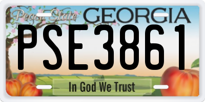 GA license plate PSE3861