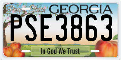GA license plate PSE3863