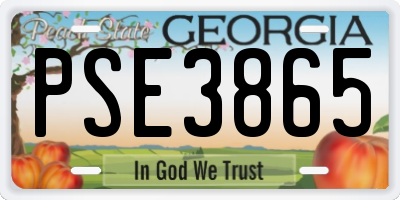 GA license plate PSE3865