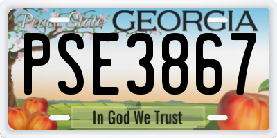 GA license plate PSE3867