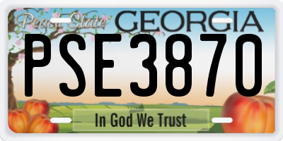 GA license plate PSE3870