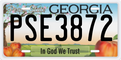 GA license plate PSE3872