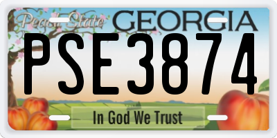 GA license plate PSE3874
