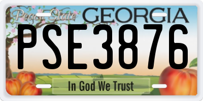 GA license plate PSE3876