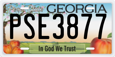 GA license plate PSE3877
