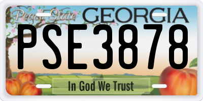 GA license plate PSE3878