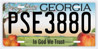 GA license plate PSE3880