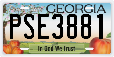 GA license plate PSE3881
