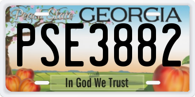 GA license plate PSE3882