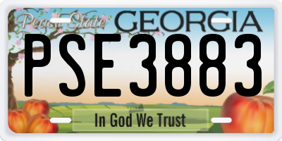 GA license plate PSE3883