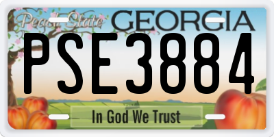 GA license plate PSE3884